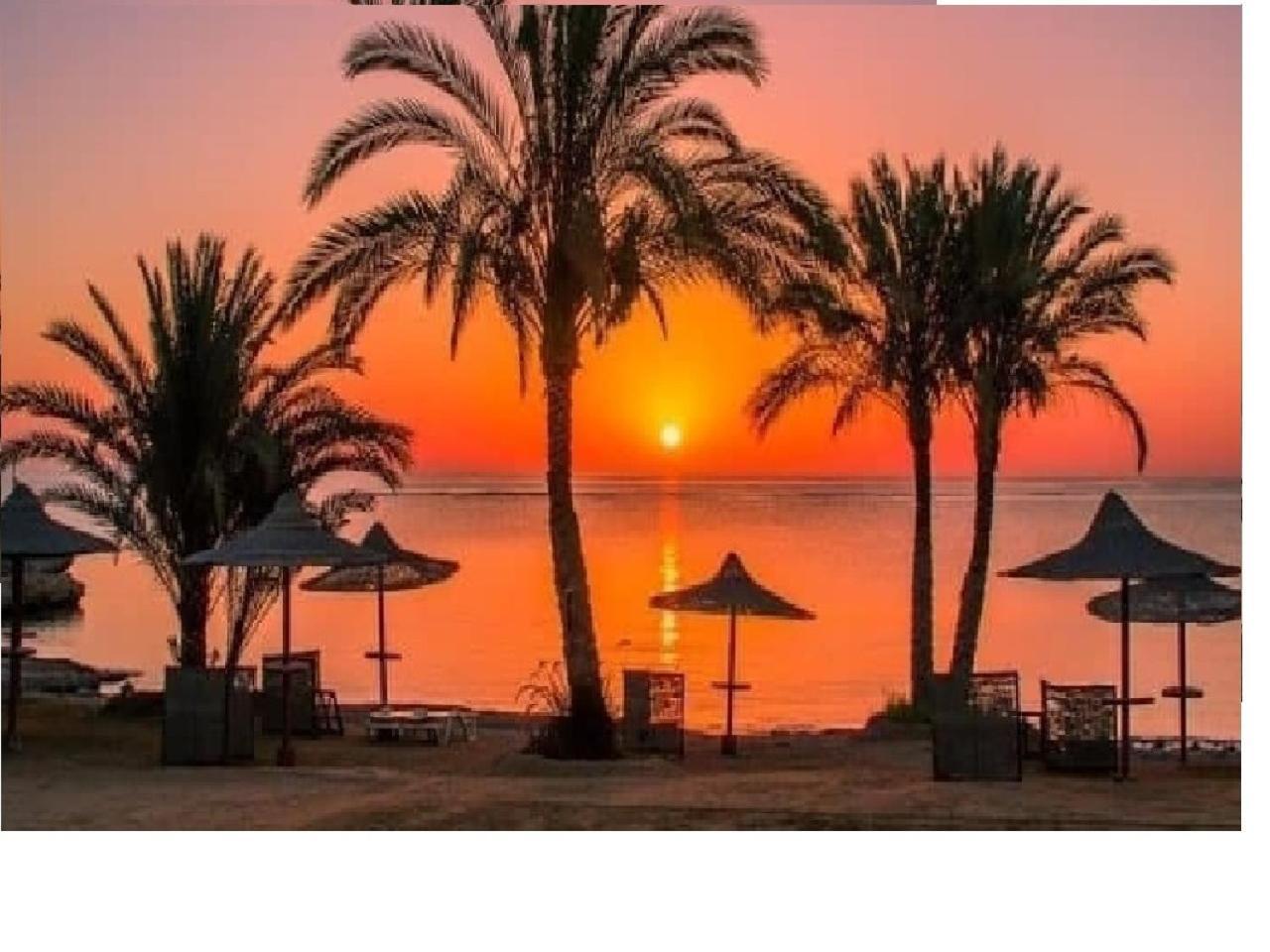 Domina Coral Bay Sea View Studio Sharm El Sheikh Exterior photo