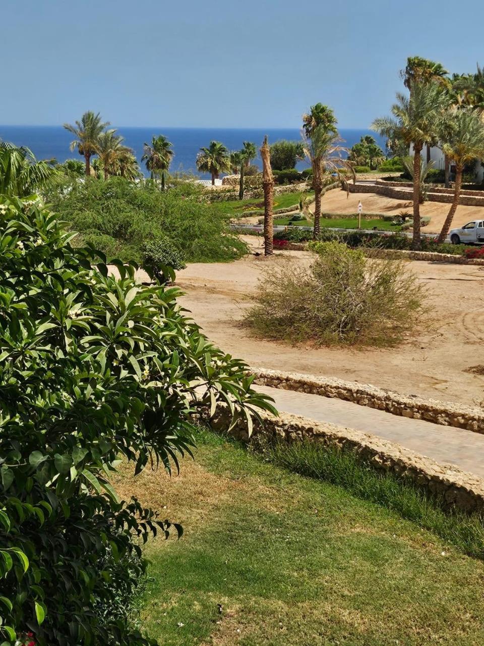 Domina Coral Bay Sea View Studio Sharm El Sheikh Exterior photo